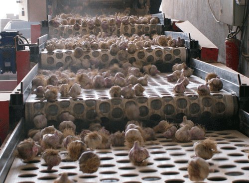 Оборудование Broch — калибровочная машина CLASIF