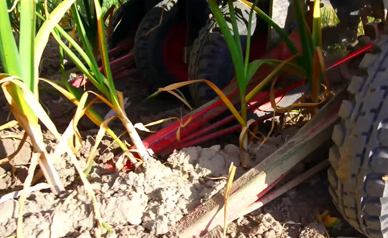 Оборудование Broch — система вязки ARAT