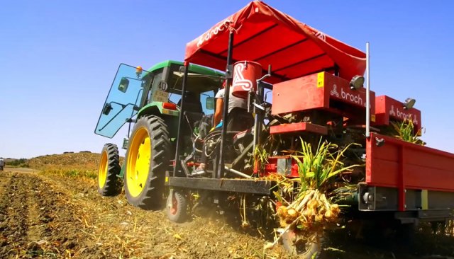 Оборудование Broch — комбайн для чеснока ARAT в поле