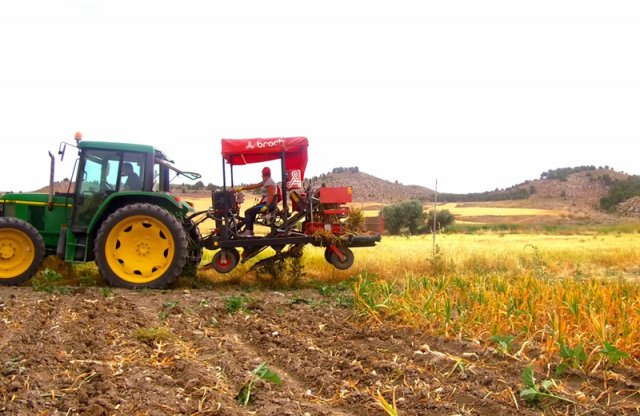 Оборудование Broch — уборка чеснока с вязкой