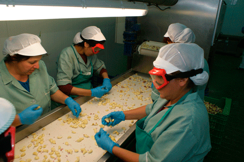 Оборудование Broch — камера сжатого воздуха LPL