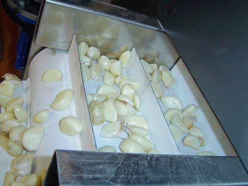 Оборудование Broch — выход очищенного чеснока