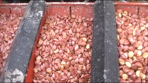 Оборудование Broch — высаживающий аппарат PLMA