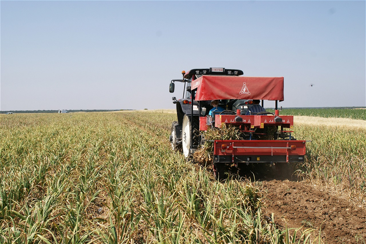 Оборудование Broch — сажалка чеснока PLMA в поле