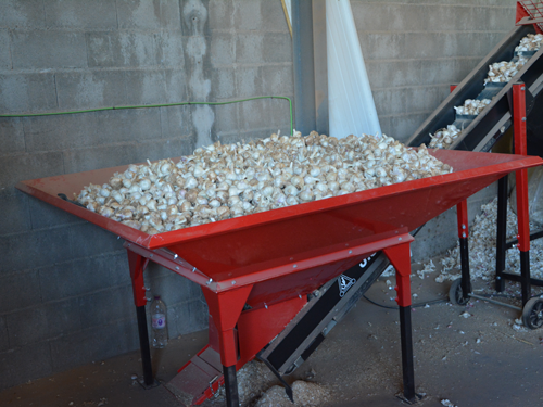 Оборудование Broch — механизм разделения головок чеснока