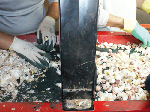 Оборудование Broch — система очистки зубков