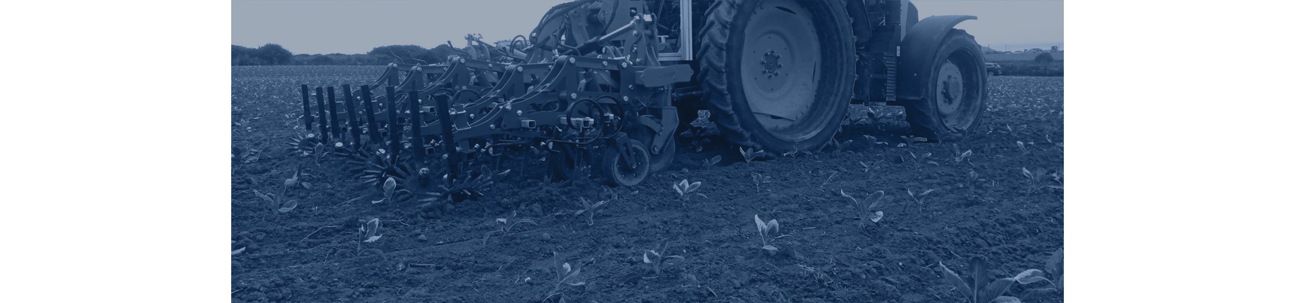 Оборудование Ferrari — пропольщик REMOLITE