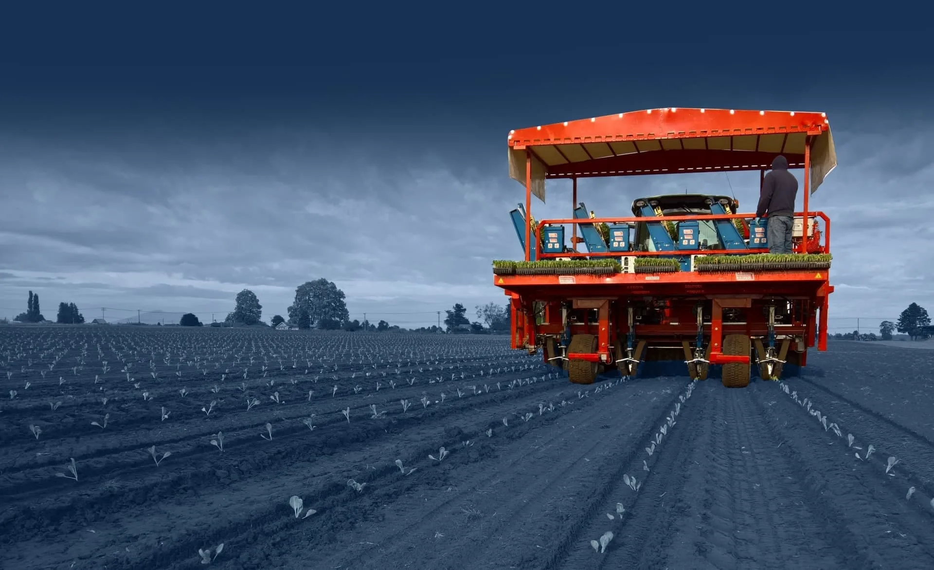 Ferrari Growtech — рассадопосадочные машины