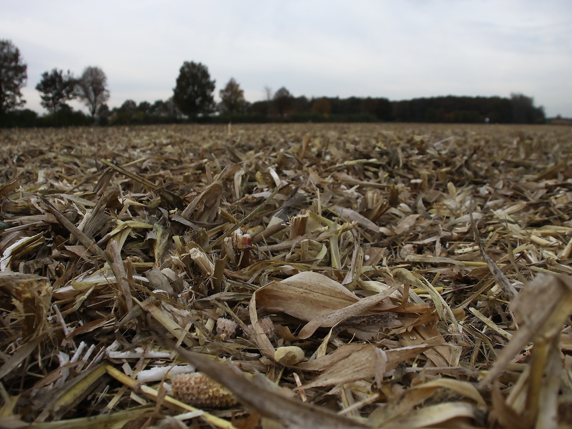 Geringhoff Horizon Star II — распределение остатков