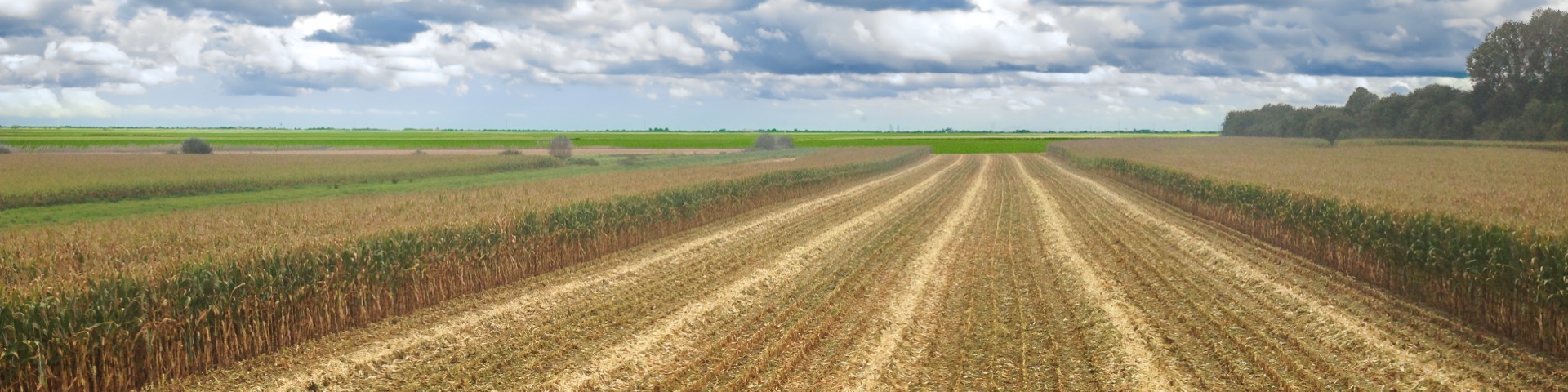 Geringhoff Mais Star Collect — распределение остатков