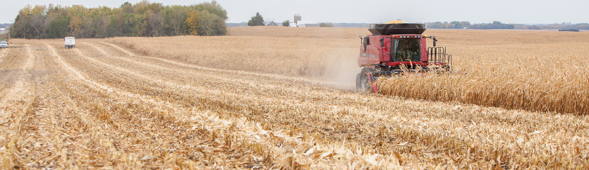 Geringhoff Mais Star Collect — жатка на комбайне