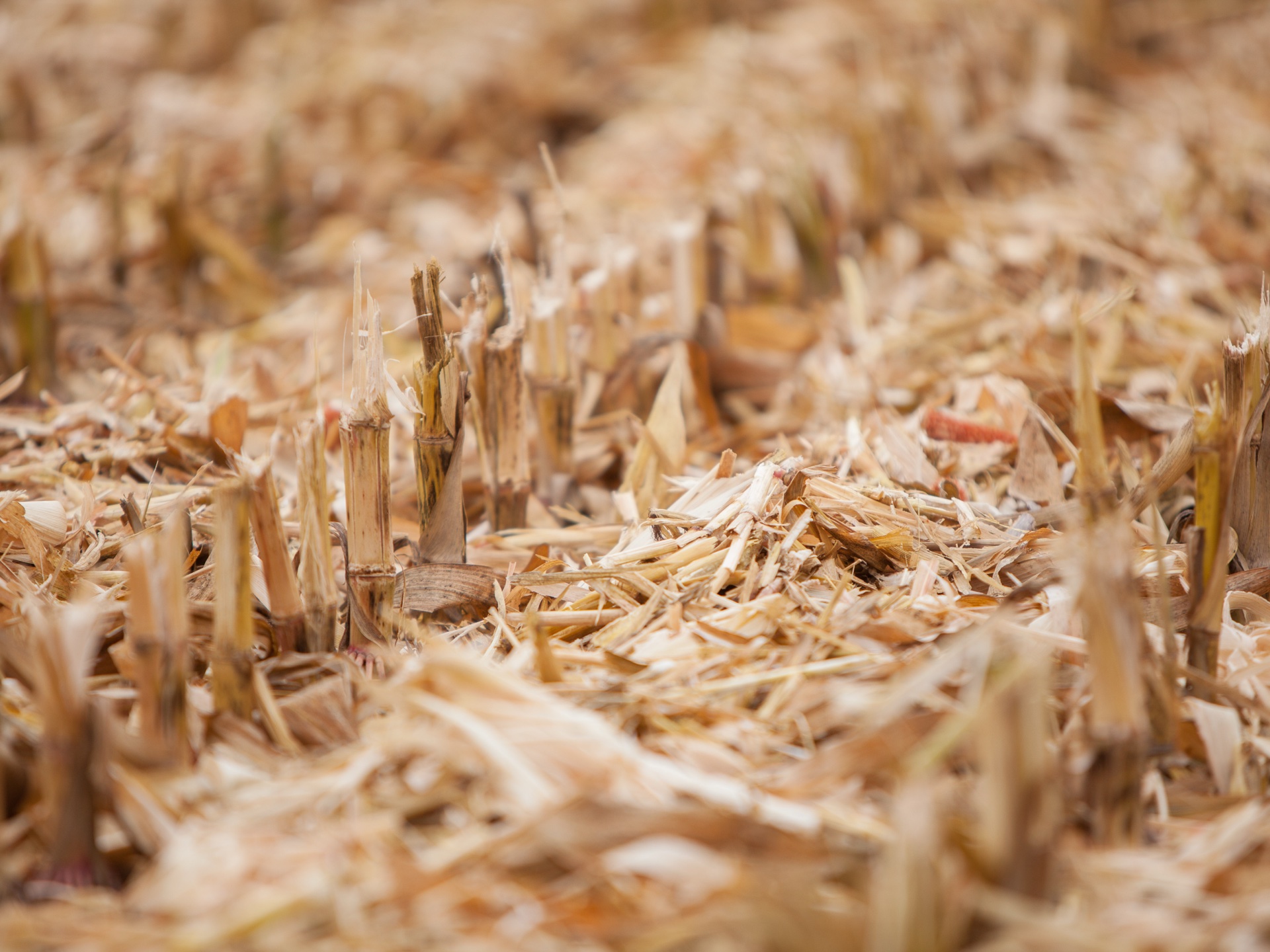 Geringhoff Rota Disc — детальный вид