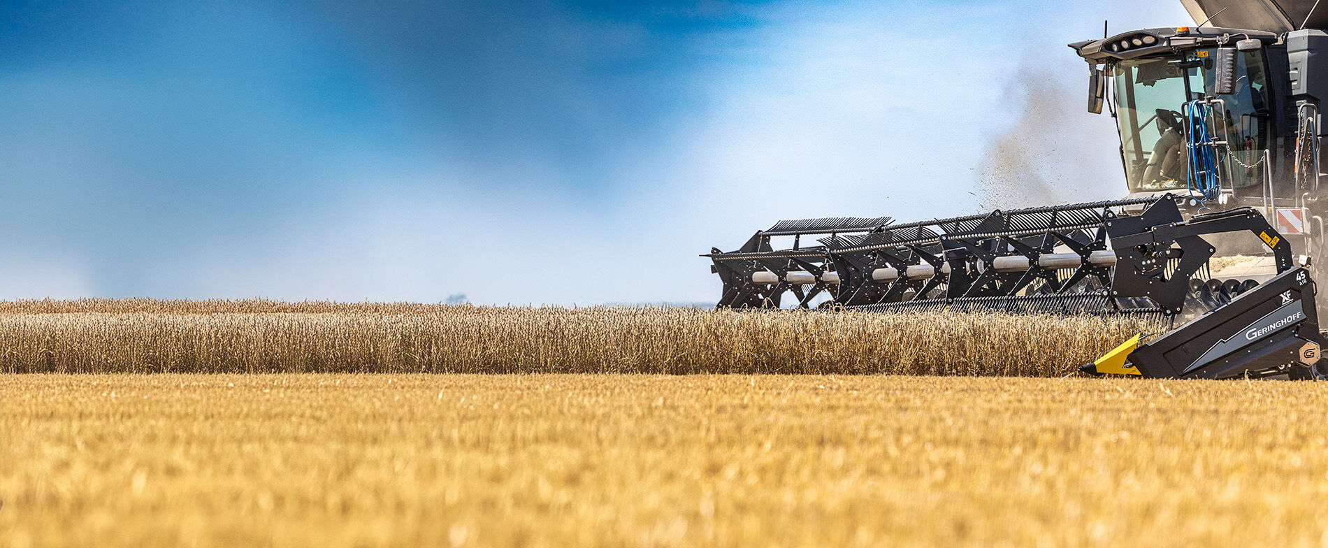 Geringhoff XtremeFlex — ленточная жатка в работе