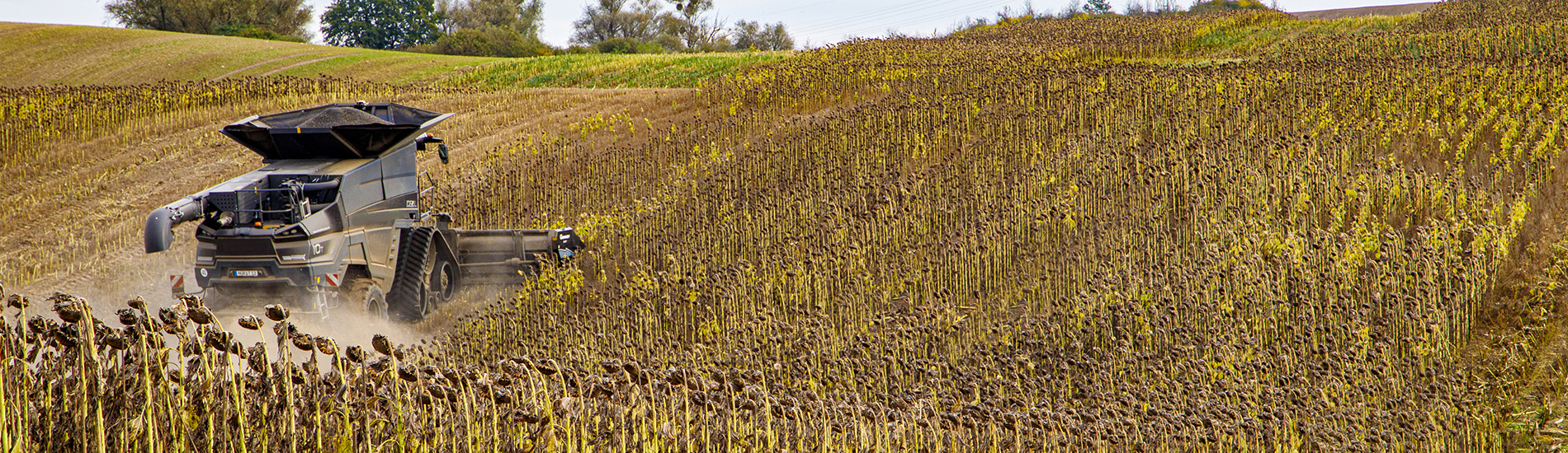 Geringhoff SunLite Horizon — жатка на комбайне Ideal