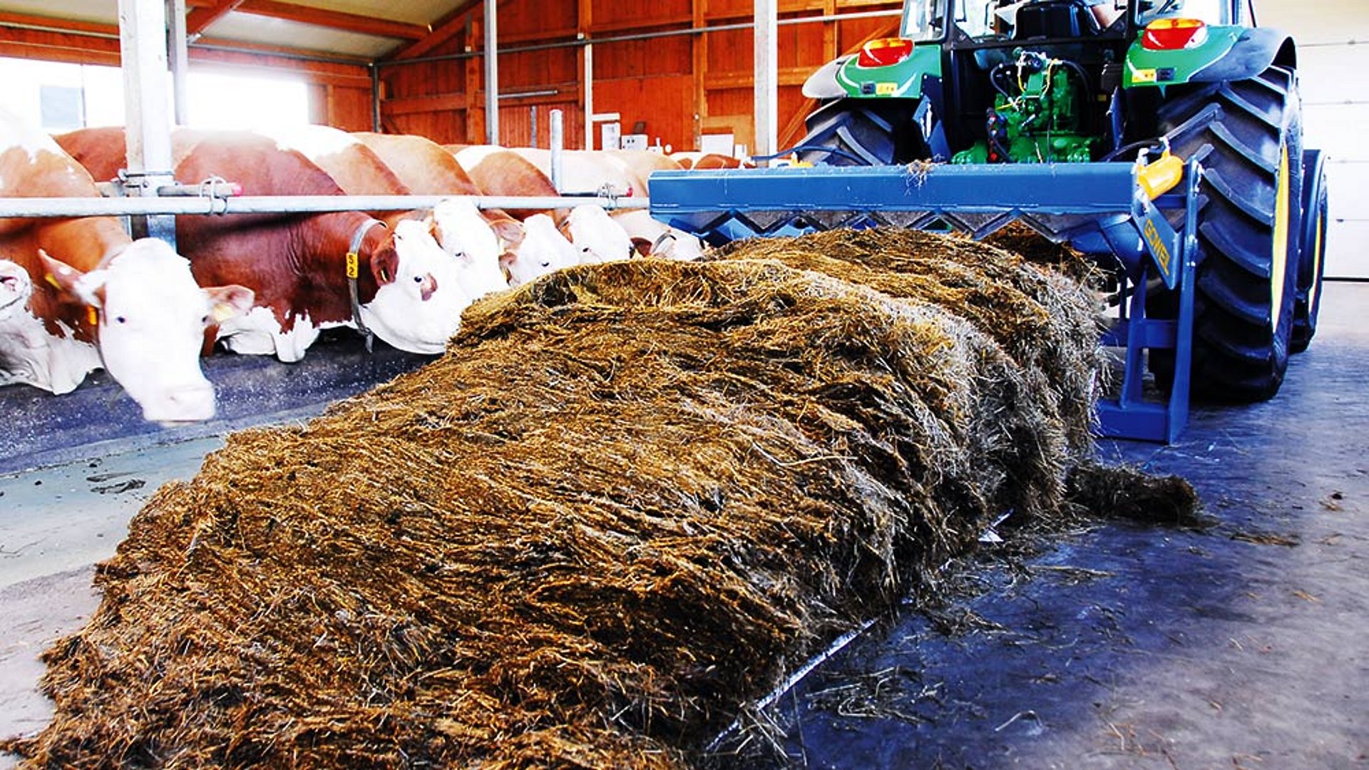 GÖWEIL Резчик-раздатчик рулонов RBS