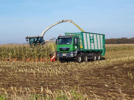 TEBBE ST 450 — выгрузка на кагате
