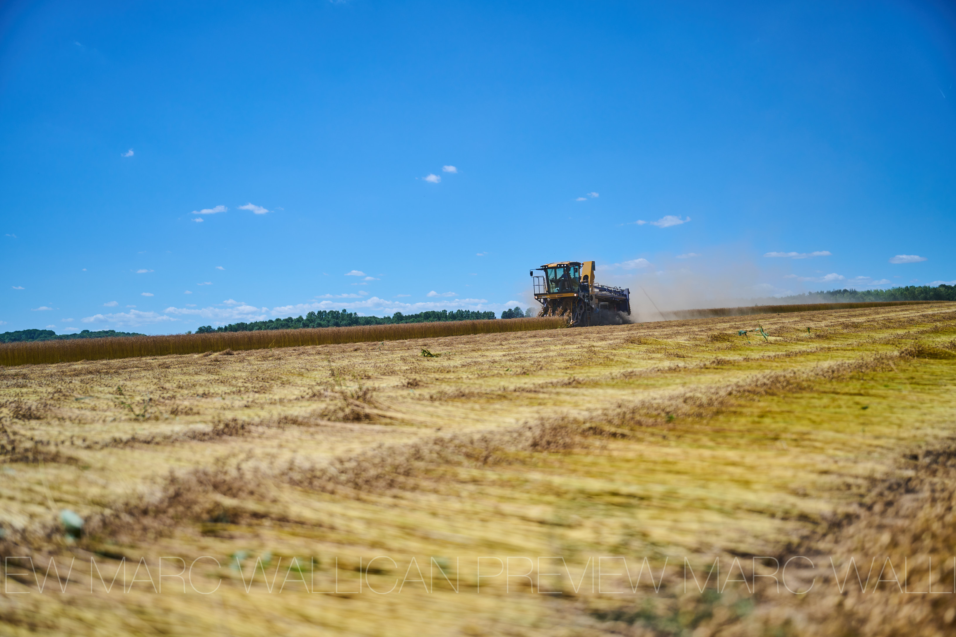 Лён — сырьё для обработки