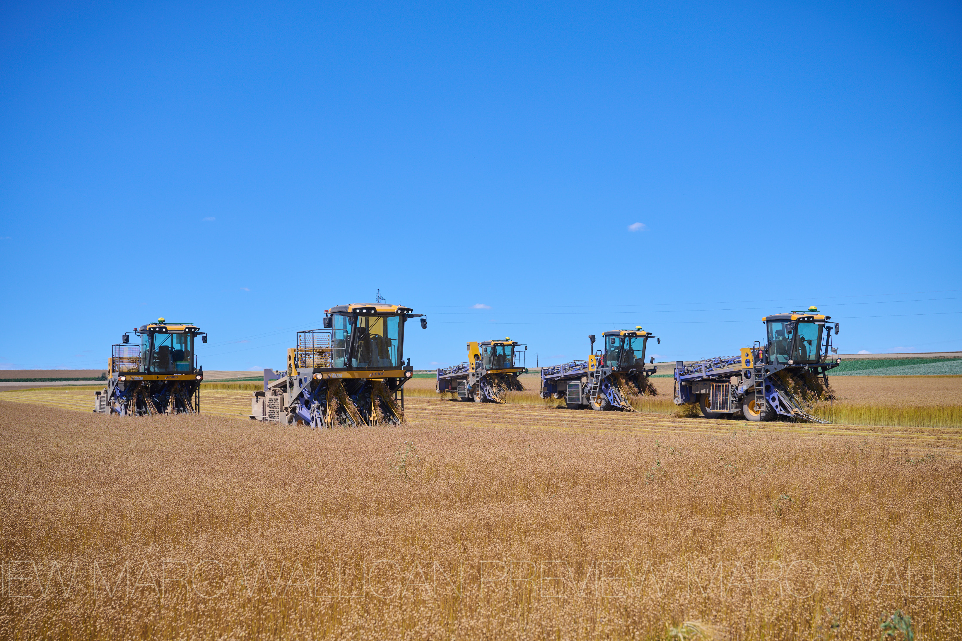 GX220 — захват и укладка ленты льна