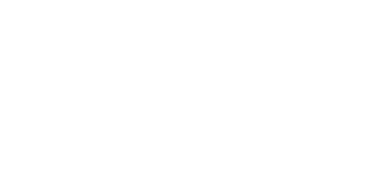 VOGT