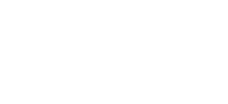 VOGT